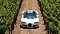 pic for Bugatti Veyron In Vineyard 